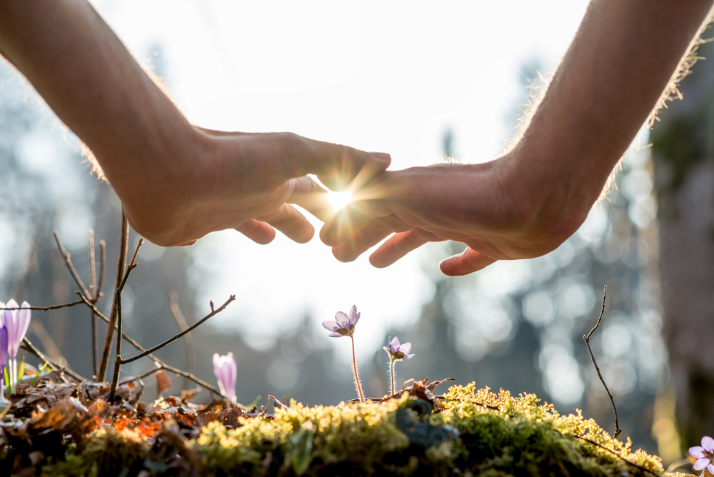 Begegnung mit der Natur 